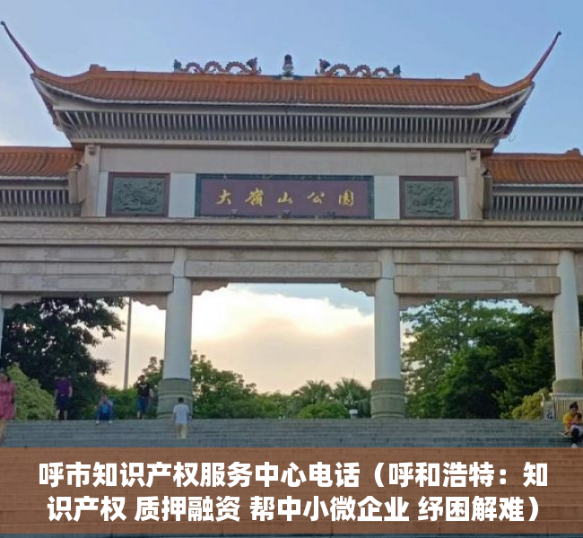 呼市知识产权服务中心电话（呼和浩特：知识产权 质押融资 帮中小微企业 纾困解难）