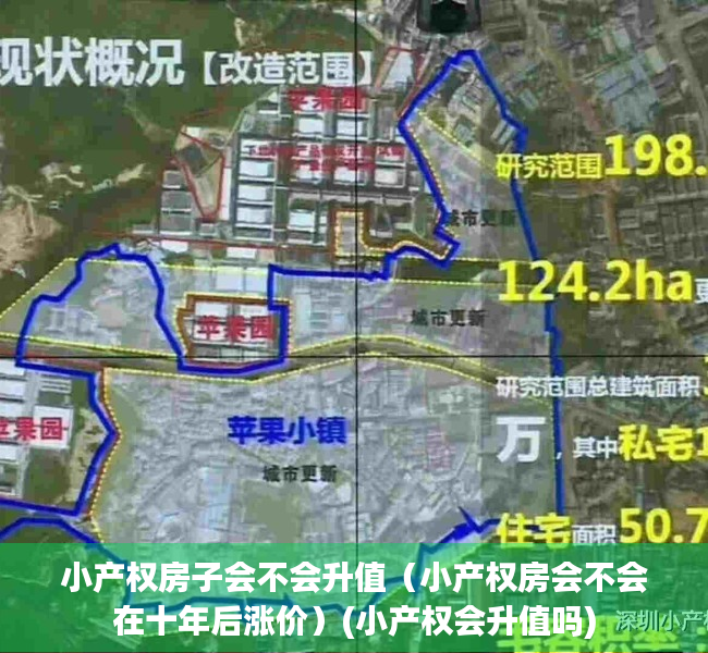 小产权房子会不会升值（小产权房会不会在十年后涨价）(小产权会升值吗)