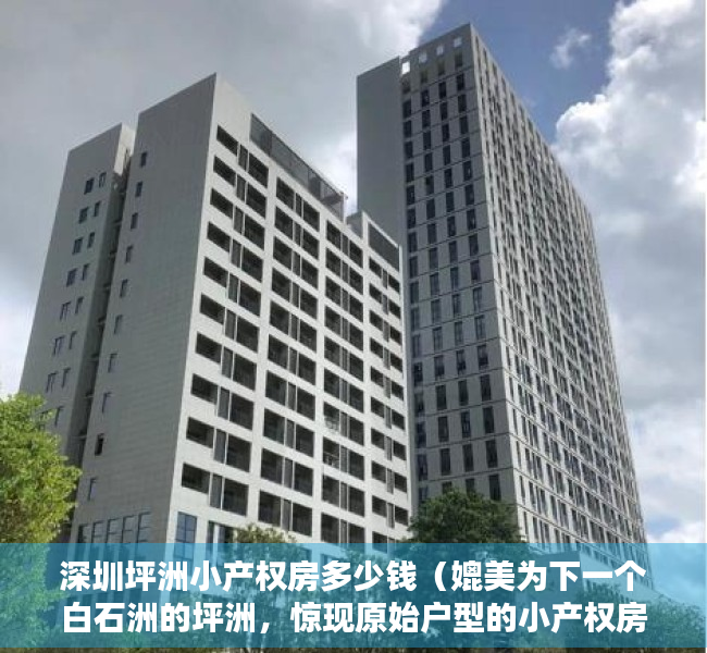 深圳坪洲小产权房多少钱（媲美为下一个白石洲的坪洲，惊现原始户型的小产权房，在拆除重建的范围内！）