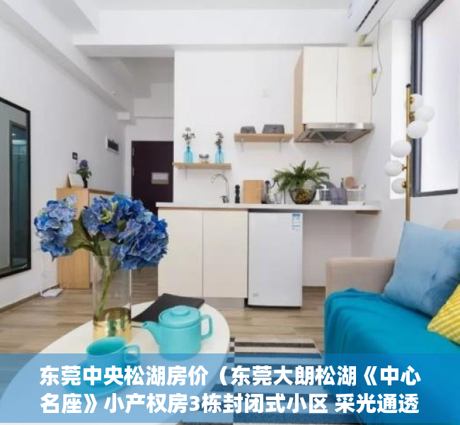 东莞中央松湖房价（东莞大朗松湖《中心名座》小产权房3栋封闭式小区 采光通透单价4500元起）