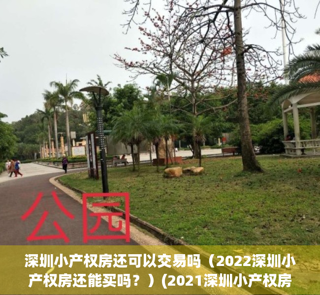深圳小产权房还可以交易吗（2022深圳小产权房还能买吗？）(2021深圳小产权房可以交易吗)