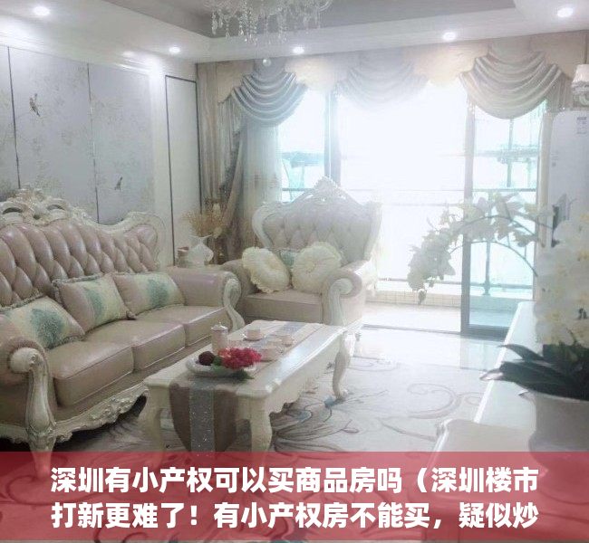 深圳有小产权可以买商品房吗（深圳楼市打新更难了！有小产权房不能买，疑似炒房不能买……网友：有一种拒绝叫万悦山）