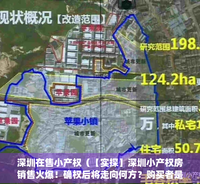 深圳在售小产权（【实探】深圳小产权房销售火爆！确权后将走向何方？购买者是这么想的……）