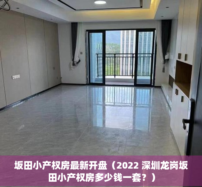 坂田小产权房最新开盘（2022 深圳龙岗坂田小产权房多少钱一套？）