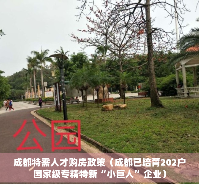 成都特需人才购房政策（成都已培育202户国家级专精特新“小巨人”企业）