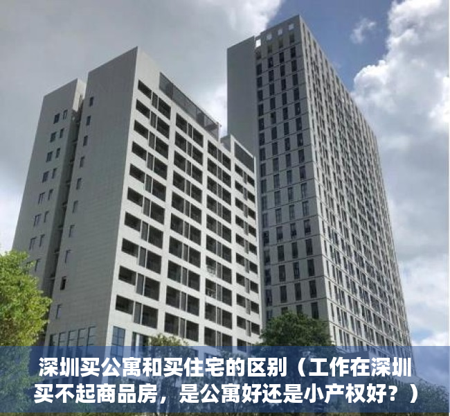 深圳买公寓和买住宅的区别（工作在深圳买不起商品房，是公寓好还是小产权好？）