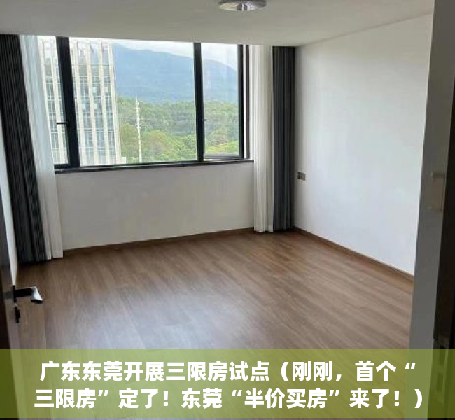 广东东莞开展三限房试点（刚刚，首个“三限房”定了！东莞“半价买房”来了！）