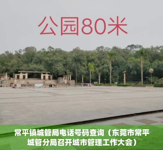 常平镇城管局电话号码查询（东莞市常平城管分局召开城市管理工作大会）