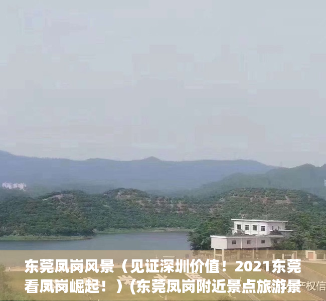 东莞凤岗风景（见证深圳价值！2021东莞看凤岗崛起！）(东莞凤岗附近景点旅游景点)