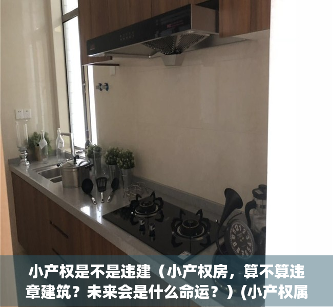 小产权是不是违建（小产权房，算不算违章建筑？未来会是什么命运？）(小产权属于违建吗)