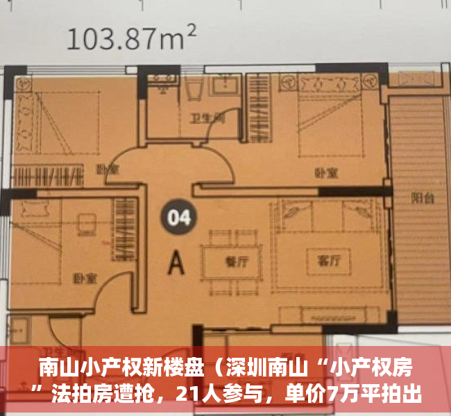 南山小产权新楼盘（深圳南山“小产权房”法拍房遭抢，21人参与，单价7万平拍出）