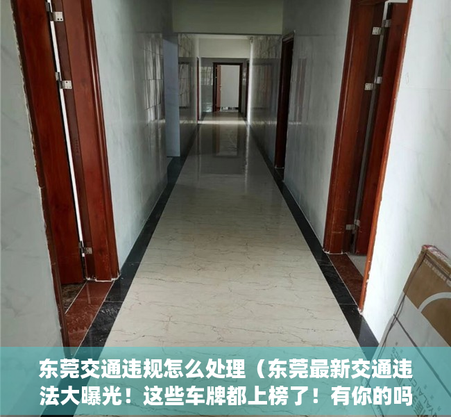 东莞交通违规怎么处理（东莞最新交通违法大曝光！这些车牌都上榜了！有你的吗？）