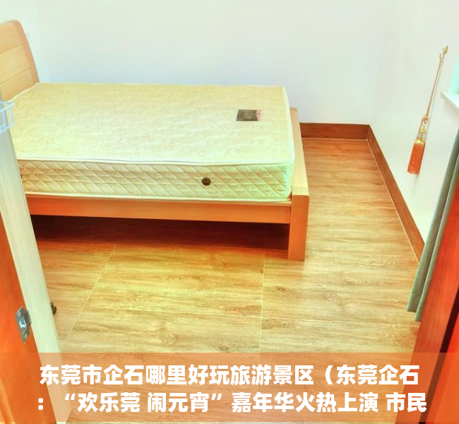 东莞市企石哪里好玩旅游景区（东莞企石：“欢乐莞 闹元宵”嘉年华火热上演 市民乐享高质量发展文化福利）