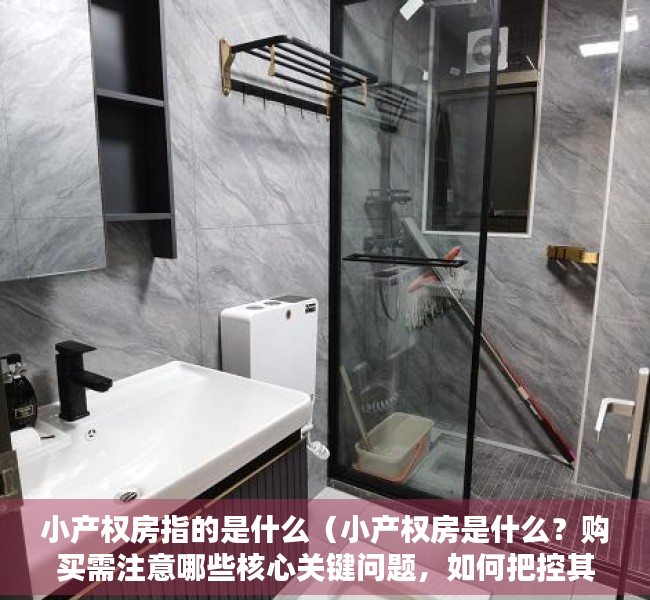 小产权房指的是什么（小产权房是什么？购买需注意哪些核心关键问题，如何把控其风险）