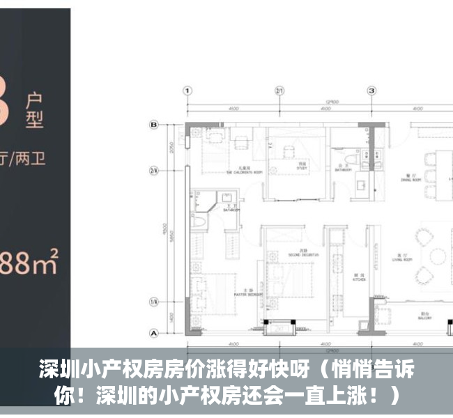 深圳小产权房房价涨得好快呀（悄悄告诉你！深圳的小产权房还会一直上涨！）
