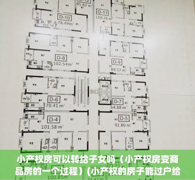 小产权房可以转给子女吗（小产权房变商品房的一个过程）(小产权的房子能过户给自己的子女吗)