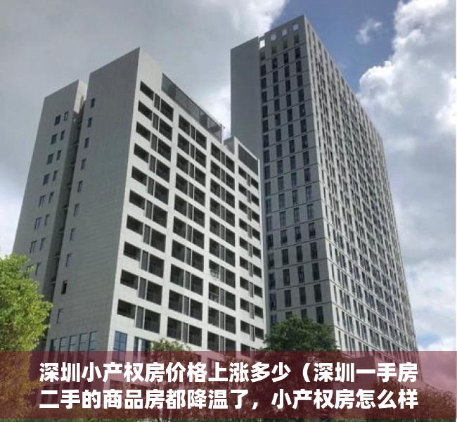 深圳小产权房价格上涨多少（深圳一手房二手的商品房都降温了，小产权房怎么样呢？）