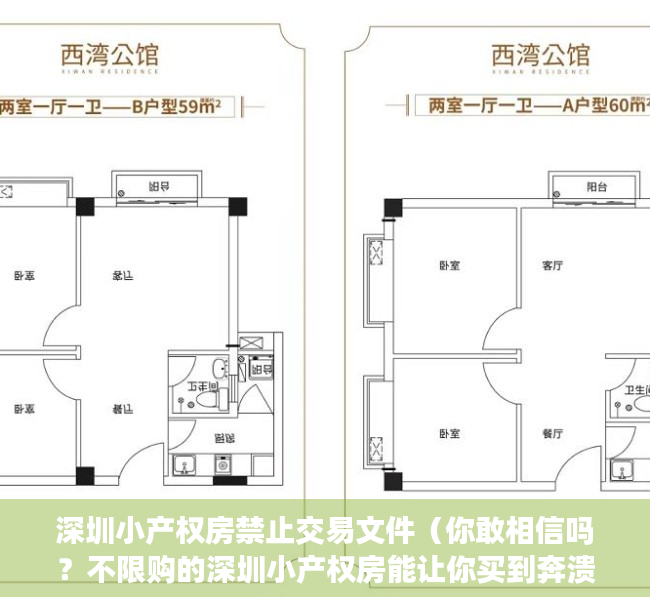 深圳小产权房禁止交易文件（你敢相信吗？不限购的深圳小产权房能让你买到奔溃！）