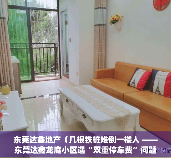 东莞达鑫地产（几根铁桩难倒一楼人 ——东莞达鑫龙庭小区遇“双重停车费”问题）