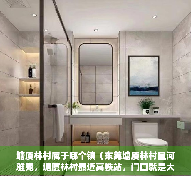 塘厦林村属于哪个镇（东莞塘厦林村星河雅苑，塘厦林村最近高铁站，门口就是大型商场，）