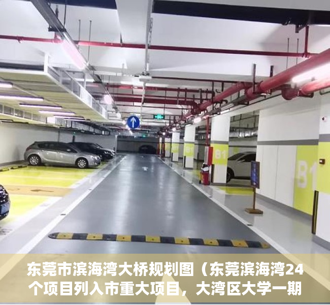东莞市滨海湾大桥规划图（东莞滨海湾24个项目列入市重大项目，大湾区大学一期计划年内动工）