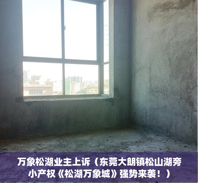万象松湖业主上诉（东莞大朗镇松山湖旁小产权《松湖万象城》强势来袭！）