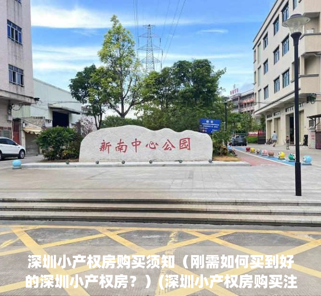深圳小产权房购买须知（刚需如何买到好的深圳小产权房？）(深圳小产权房购买注意事项)