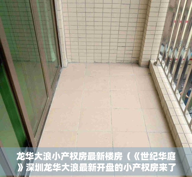 龙华大浪小产权房最新楼房（《世纪华庭》深圳龙华大浪最新开盘的小产权房来了）