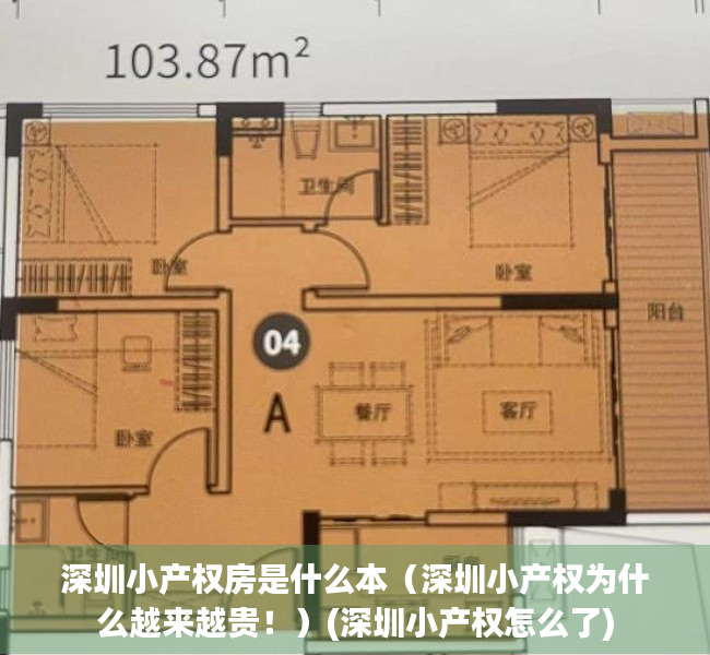深圳小产权房是什么本（深圳小产权为什么越来越贵！）(深圳小产权怎么了)