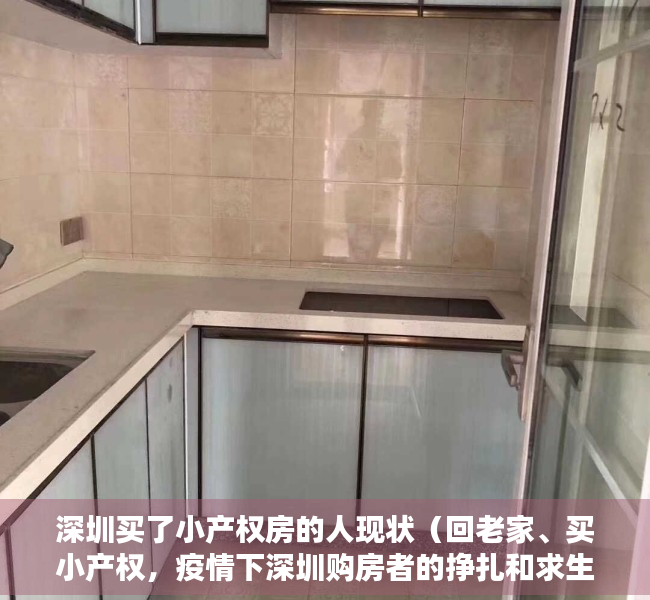 深圳买了小产权房的人现状（回老家、买小产权，疫情下深圳购房者的挣扎和求生）
