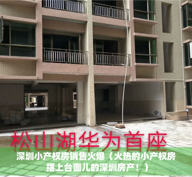 深圳小产权房销售火爆（火热的小产权房 摆上台面儿的深圳房产！）