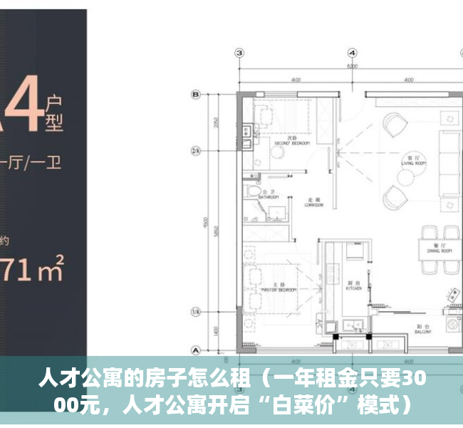 人才公寓的房子怎么租（一年租金只要3000元，人才公寓开启“白菜价”模式）