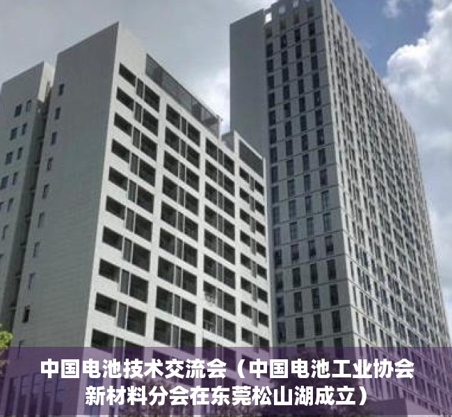 中国电池技术交流会（中国电池工业协会新材料分会在东莞松山湖成立）