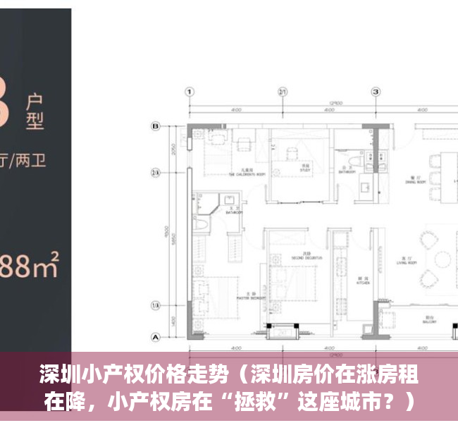 深圳小产权价格走势（深圳房价在涨房租在降，小产权房在“拯救”这座城市？）