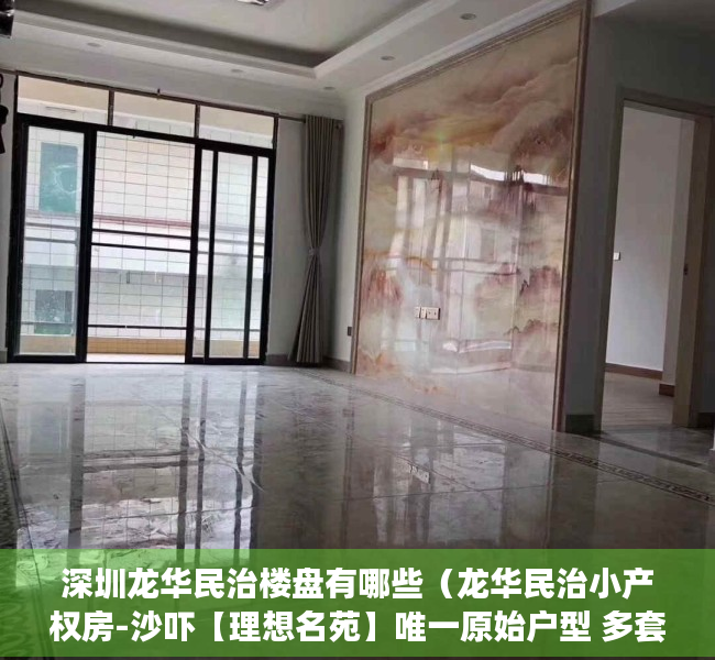 深圳龙华民治楼盘有哪些（龙华民治小产权房-沙吓【理想名苑】唯一原始户型 多套精装特价房）