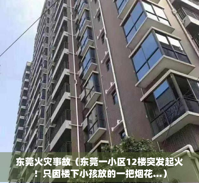 东莞火灾事故（东莞一小区12楼突发起火！只因楼下小孩放的一把烟花…）