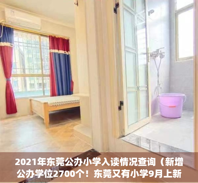 2021年东莞公办小学入读情况查询（新增公办学位2700个！东莞又有小学9月上新！）