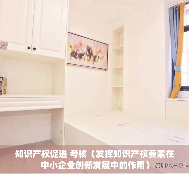 知识产权促进 考核（发挥知识产权要素在中小企业创新发展中的作用）