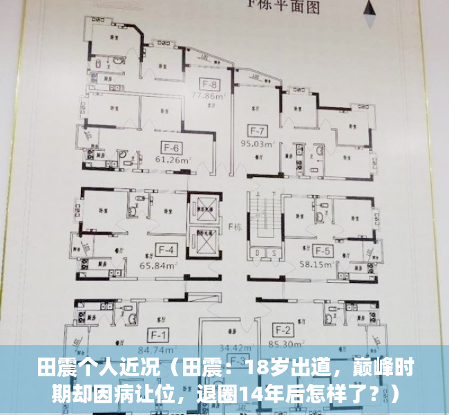 田震个人近况（田震：18岁出道，巅峰时期却因病让位，退圈14年后怎样了？）