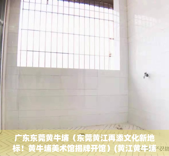 广东东莞黄牛埔（东莞黄江再添文化新地标！黄牛埔美术馆揭牌开馆）(黄江黄牛埔旧改项目)