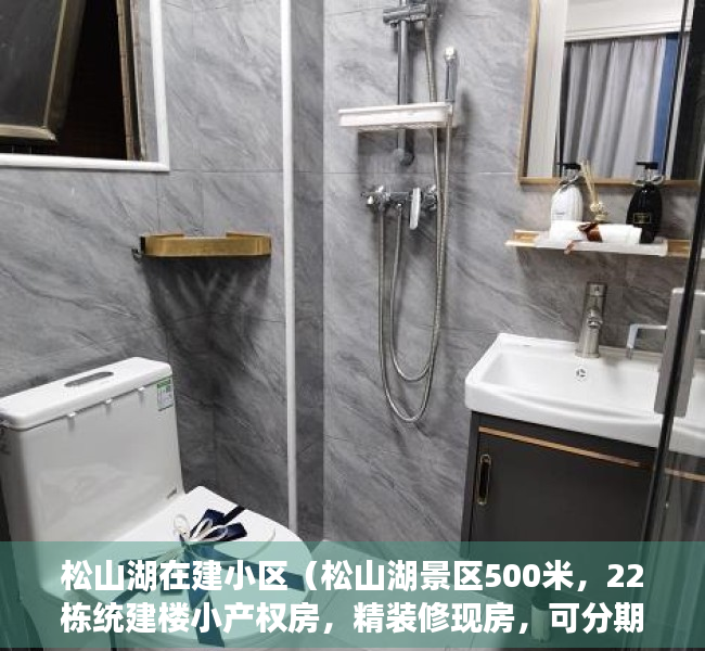松山湖在建小区（松山湖景区500米，22栋统建楼小产权房，精装修现房，可分期8年）