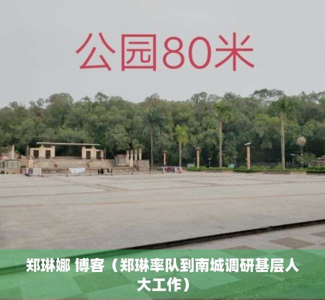 郑琳娜 博客（郑琳率队到南城调研基层人大工作）