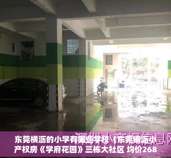 东莞横沥的小学有哪些学校（东莞横沥小产权房《学府花园》三栋大社区 均价2680元）