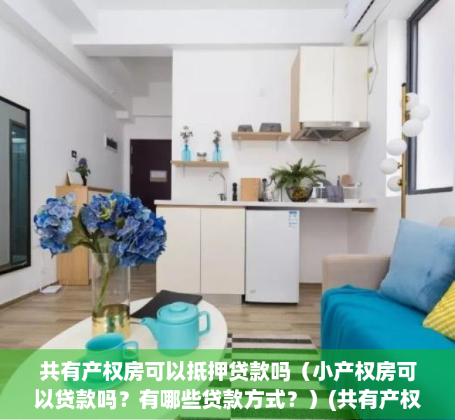 共有产权房可以抵押贷款吗（小产权房可以贷款吗？有哪些贷款方式？）(共有产权房能抵押贷款吗)