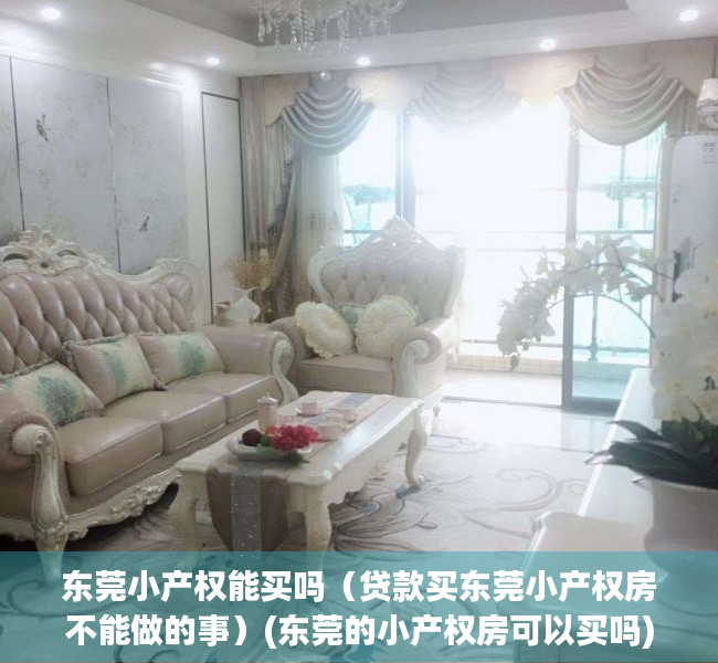 东莞小产权能买吗（贷款买东莞小产权房不能做的事）(东莞的小产权房可以买吗)
