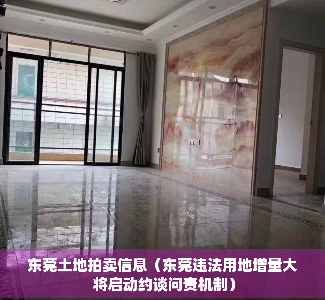 东莞土地拍卖信息（东莞违法用地增量大 将启动约谈问责机制）