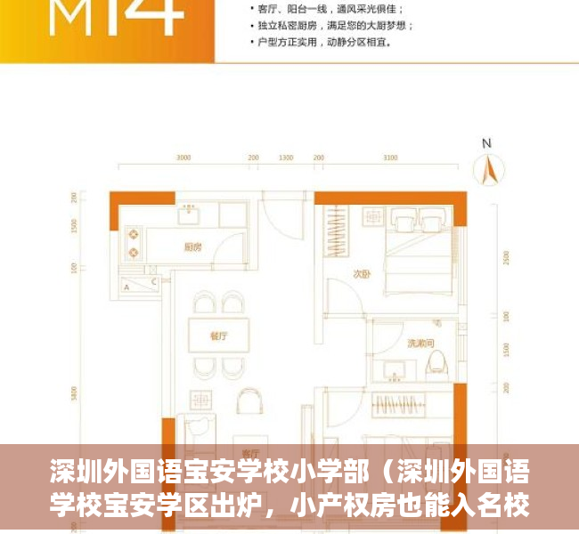 深圳外国语宝安学校小学部（深圳外国语学校宝安学区出炉，小产权房也能入名校。）