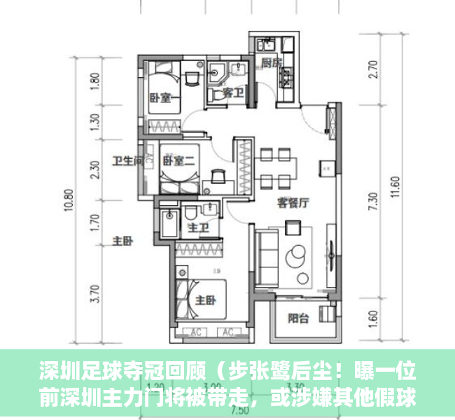 深圳足球夺冠回顾（步张鹭后尘！曝一位前深圳主力门将被带走，或涉嫌其他假球案）