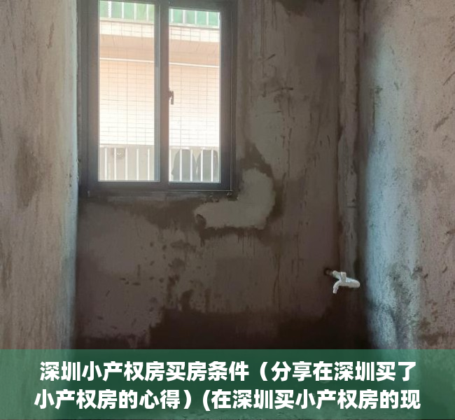 深圳小产权房买房条件（分享在深圳买了小产权房的心得）(在深圳买小产权房的现在怎么样了)