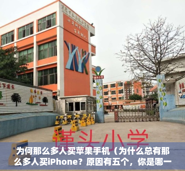 为何那么多人买苹果手机（为什么总有那么多人买iPhone？原因有五个，你是哪一个呢？）